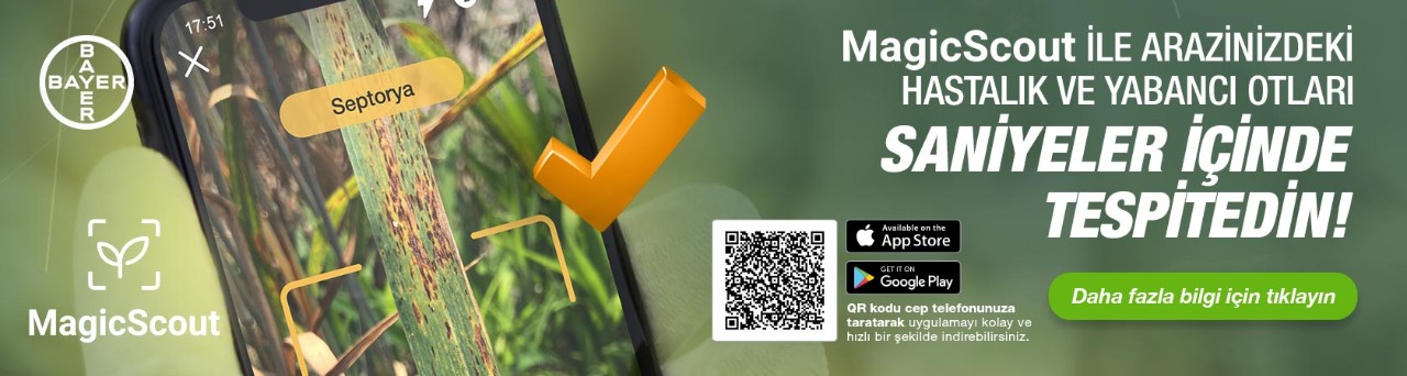 MagicScout – Hastalık ve yabancı otları saniyeler içinde tespit edin!