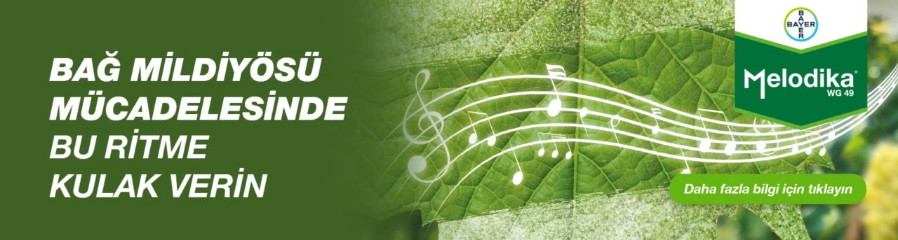 Melodika WG 49 – Bağ mildiyösü mücadelesinde ritme kulak verin!