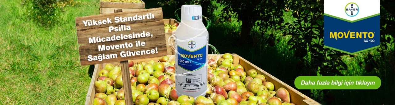 Movento SC 100 - Movento ile sağlam güvence!